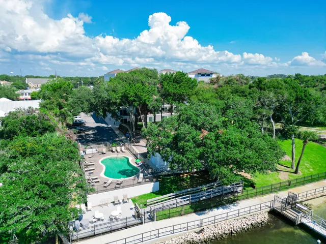 a view of a flower in a garden