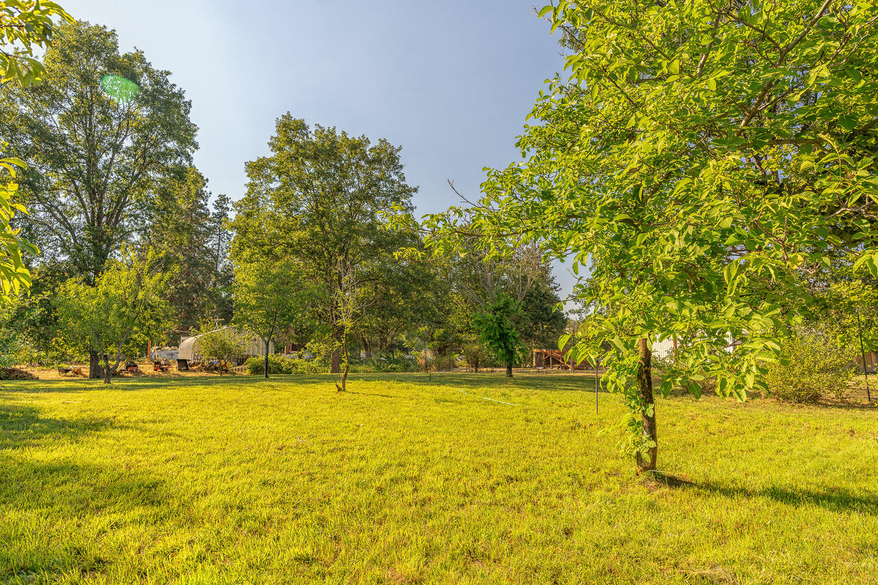 88 Neil Creek Road Ashland, OR 97520 - Photo 12 of 20 untitled (15 of 27)-Edit