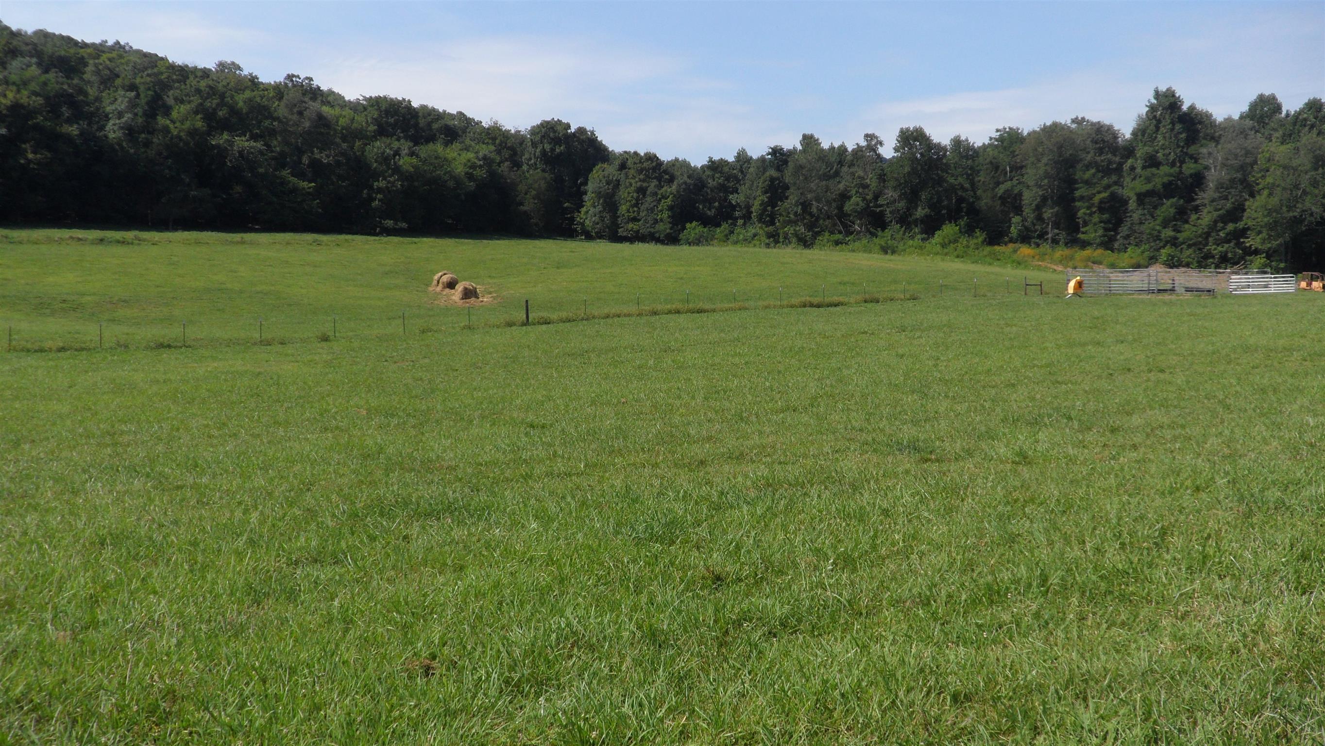 209 Tom Johnson Road Morrison, TN 37357 - Photo 14 of 18