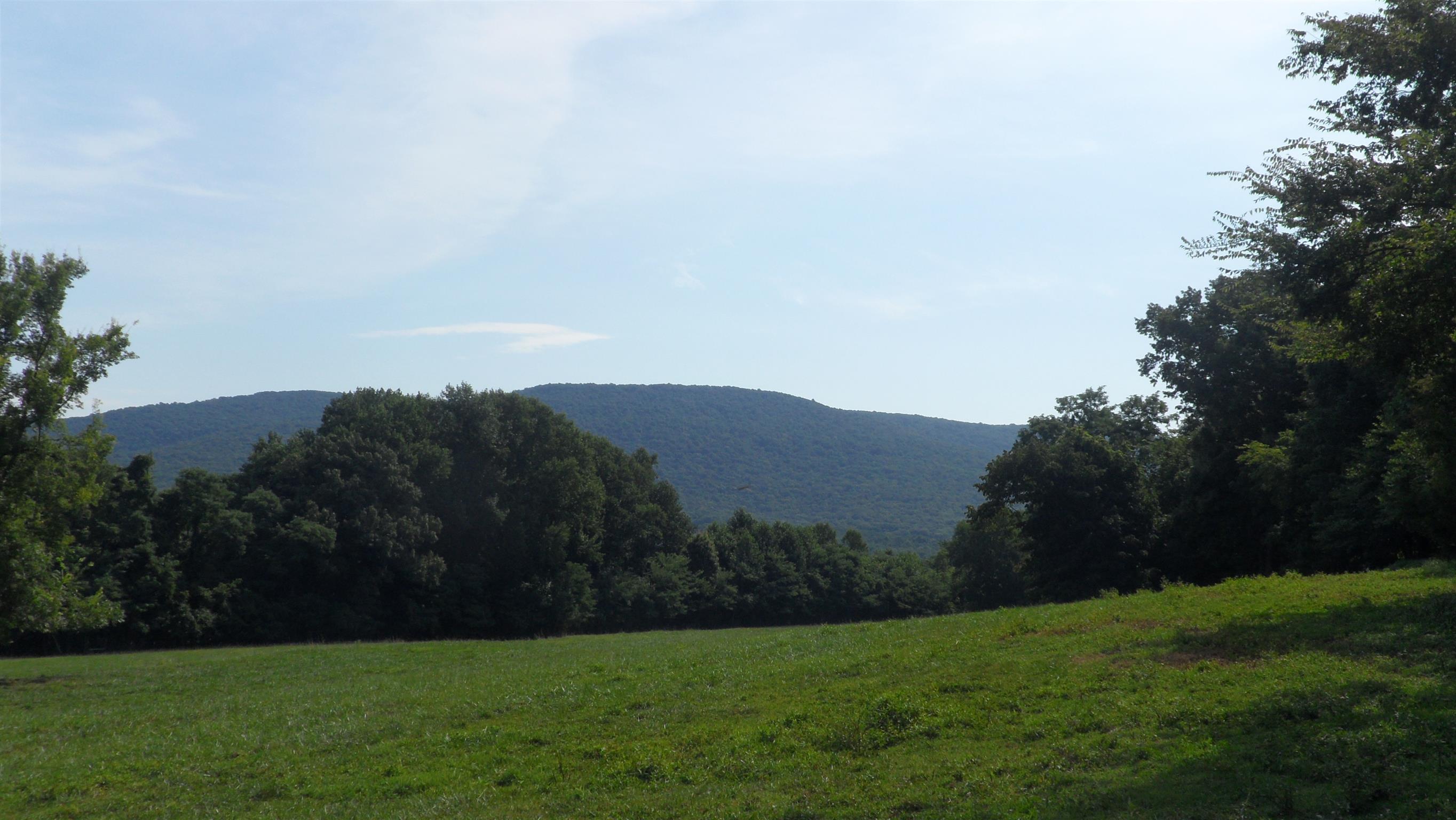 209 Tom Johnson Road Morrison, TN 37357 - Photo 6 of 18
