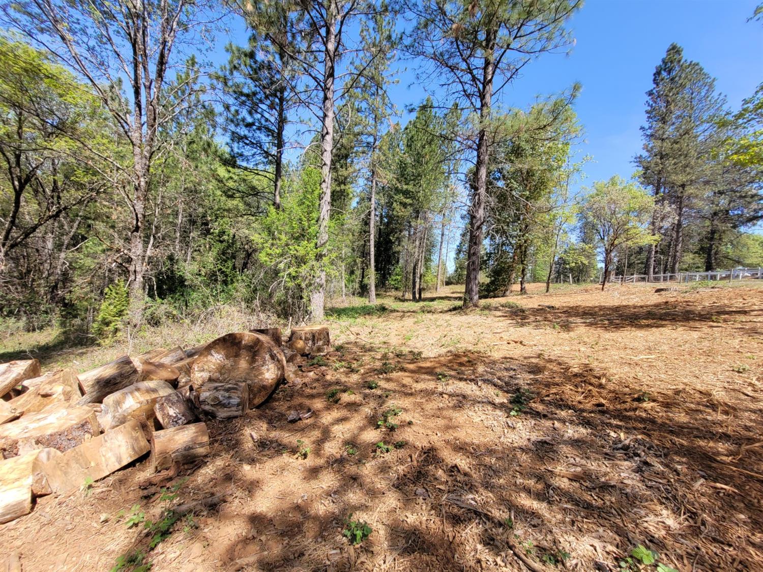 13560 Hopeful Hill Road Nevada City, CA 95959 - Photo 12 of 23