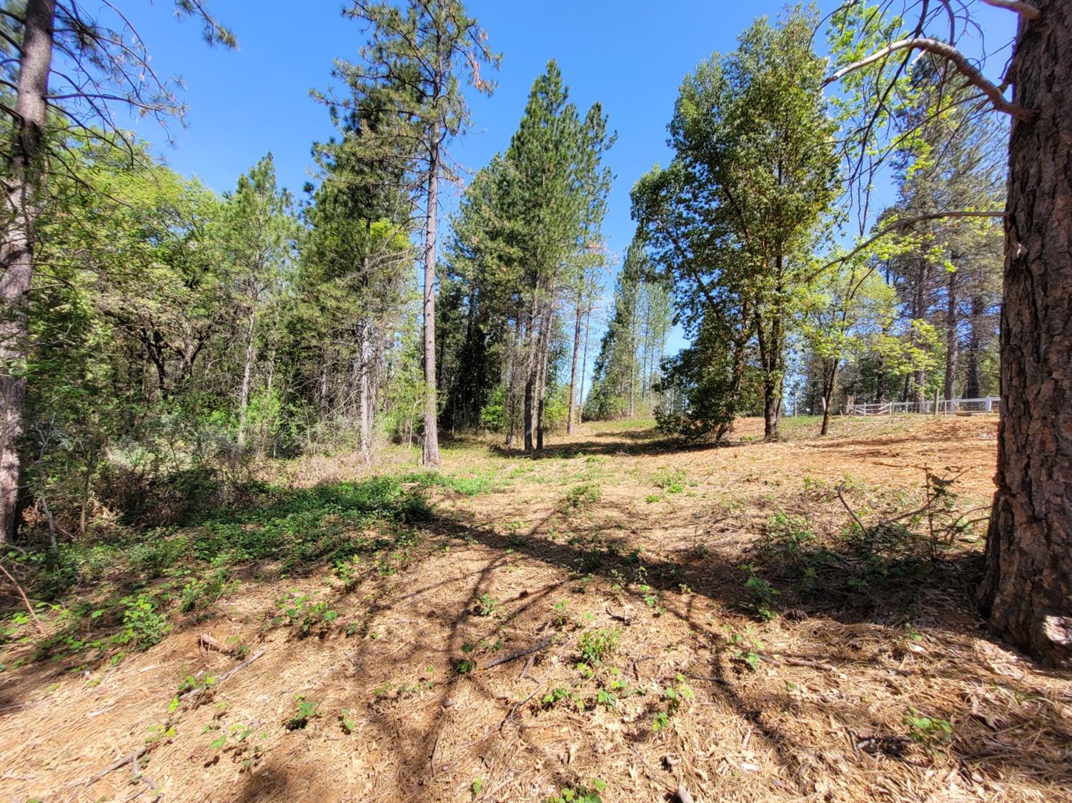 13560 Hopeful Hill Road Nevada City, CA 95959 - Photo 13 of 23 a view of outdoor space with trees