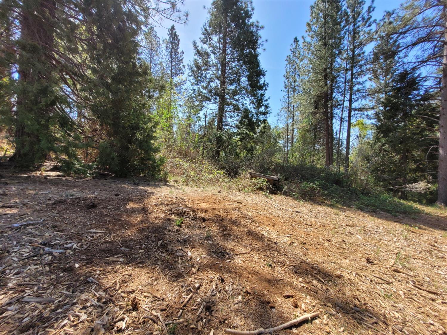 13560 Hopeful Hill Road Nevada City, CA 95959 - Photo 2 of 23 a view of a yard with trees