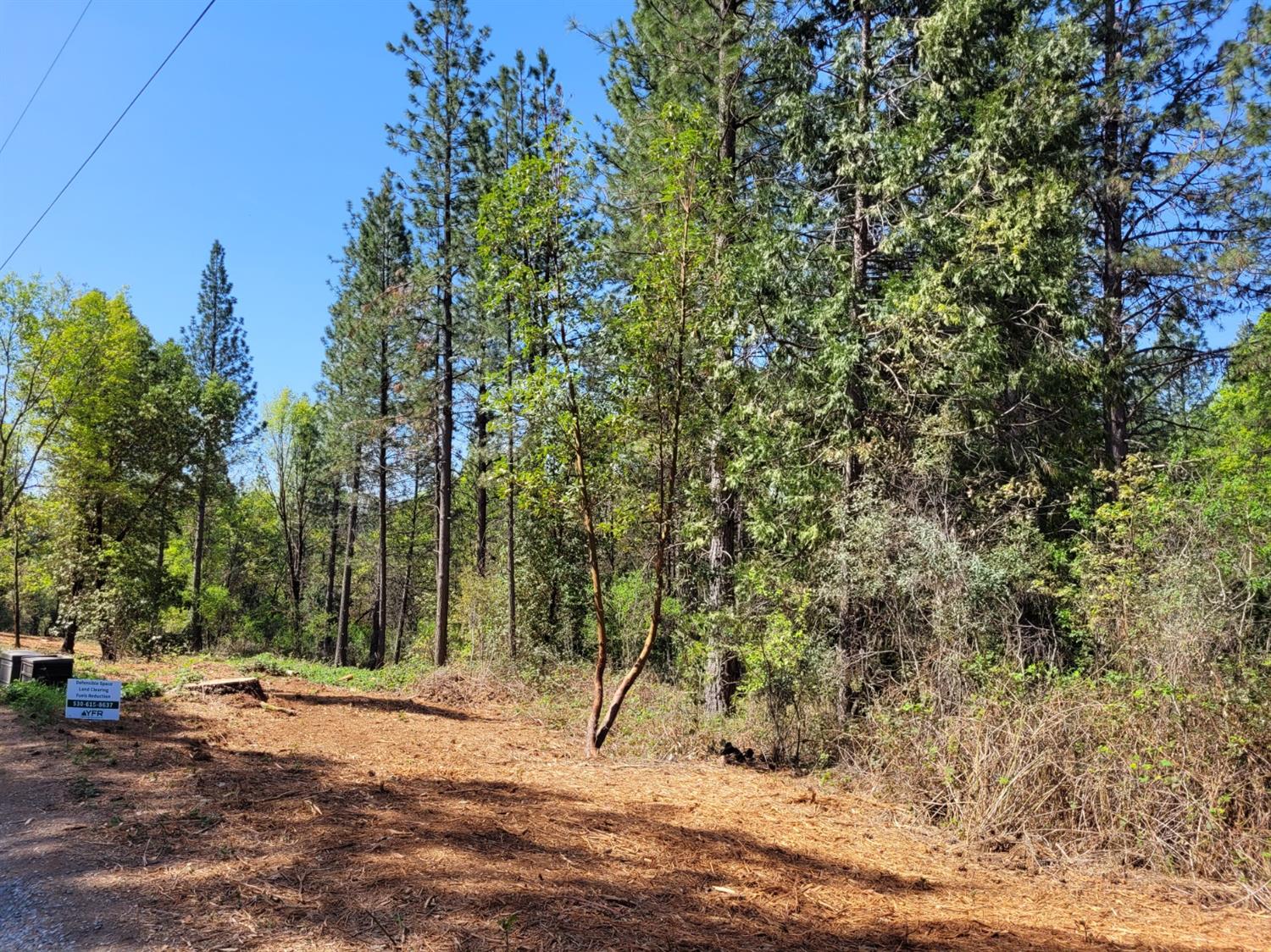 13560 Hopeful Hill Road Nevada City, CA 95959 - Photo 22 of 23 a view of a yard with plants and trees