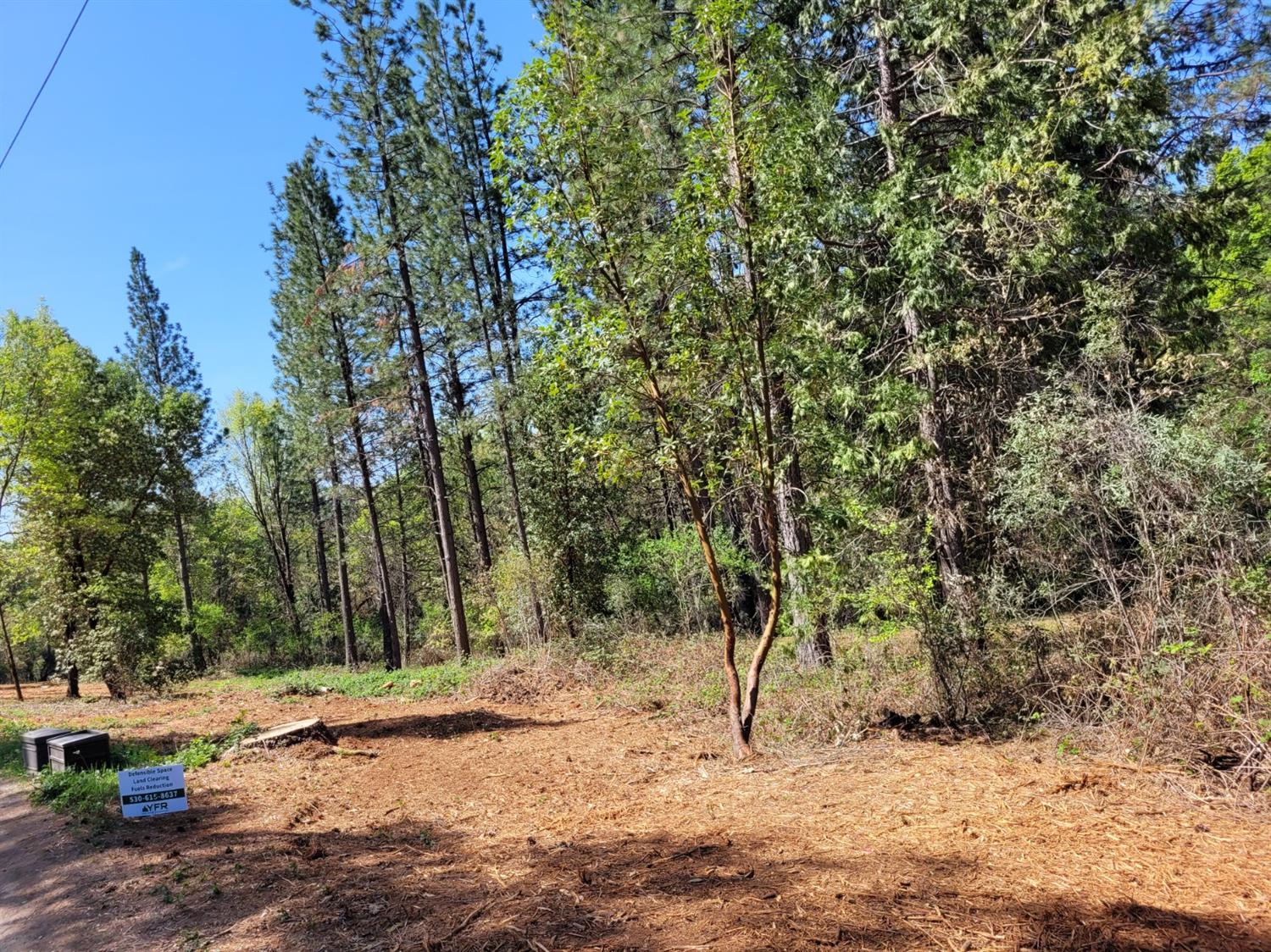 13560 Hopeful Hill Road Nevada City, CA 95959 - Photo 23 of 23 a view of a yard with a tree