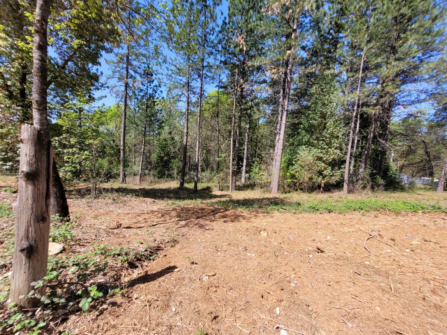13560 Hopeful Hill Road Nevada City, CA 95959 - Photo 8 of 23 a backyard of a house with lots of green space