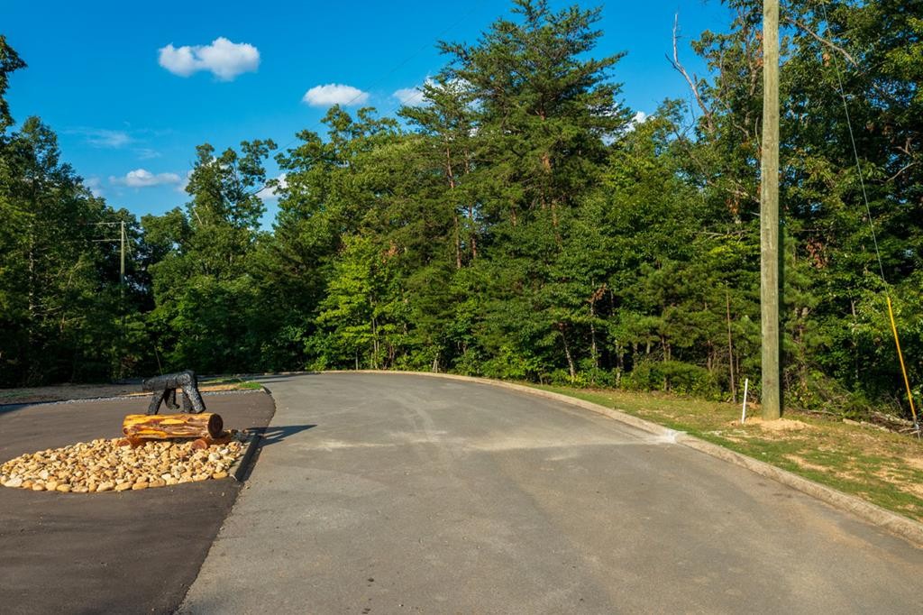 1833 Pinestand Rdg Way Sevierville, TN 37862 - Photo 1 of 9