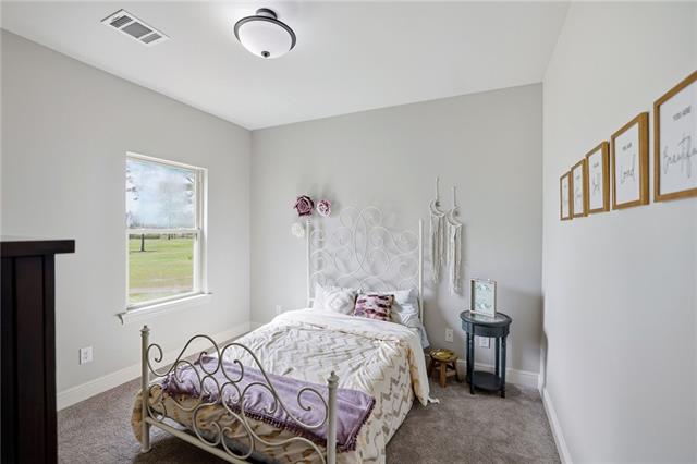 30806 Carter Cemetery Road Springfield, LA 70462 - Photo 22 of 31