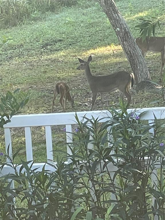 3189 South Graymor Path Inverness, FL 34450 - Photo 45 of 46 a view of a lake from a balcony