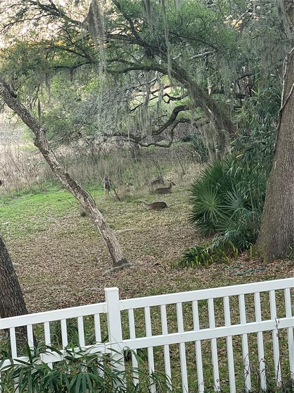 3189 South Graymor Path Inverness, FL 34450 - Photo 46 of 46 a view of a yard from a balcony