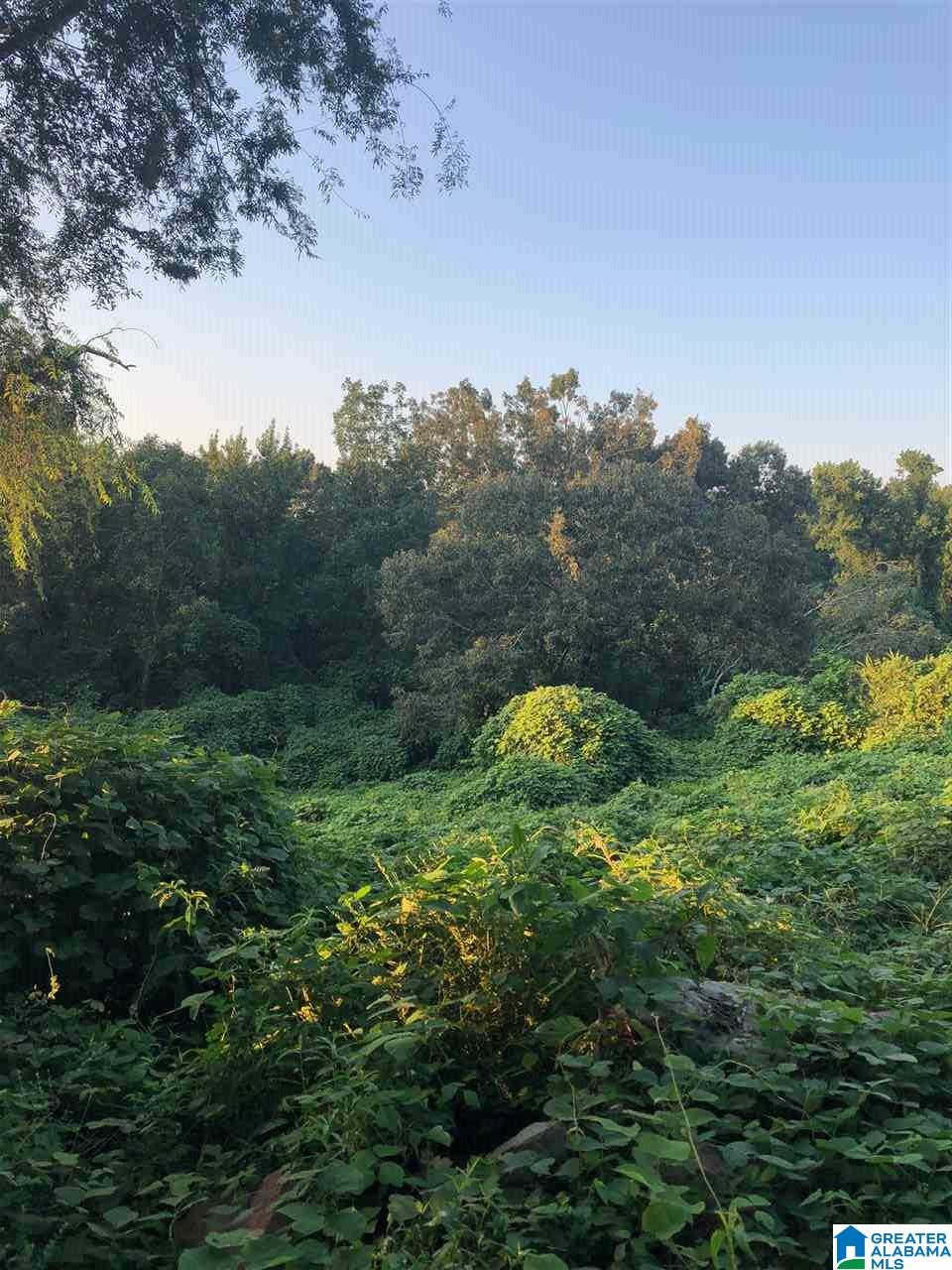 South Shades Crest Road, Unit 2 Helena, AL 35022 - Photo 2 of 5
