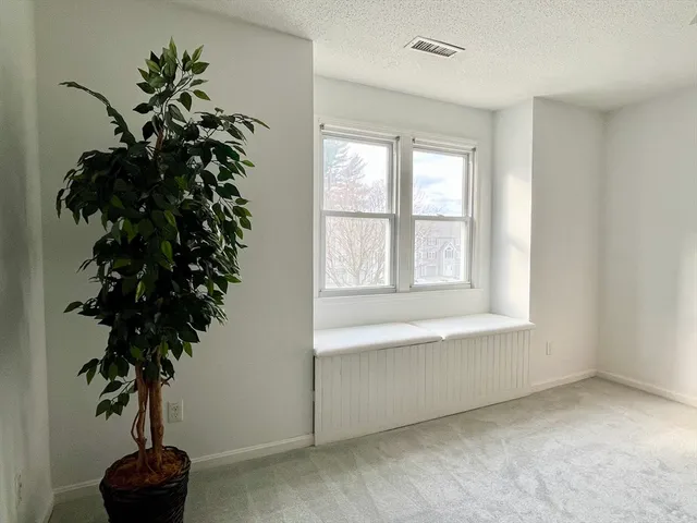 a potted plant sitting in front of a window