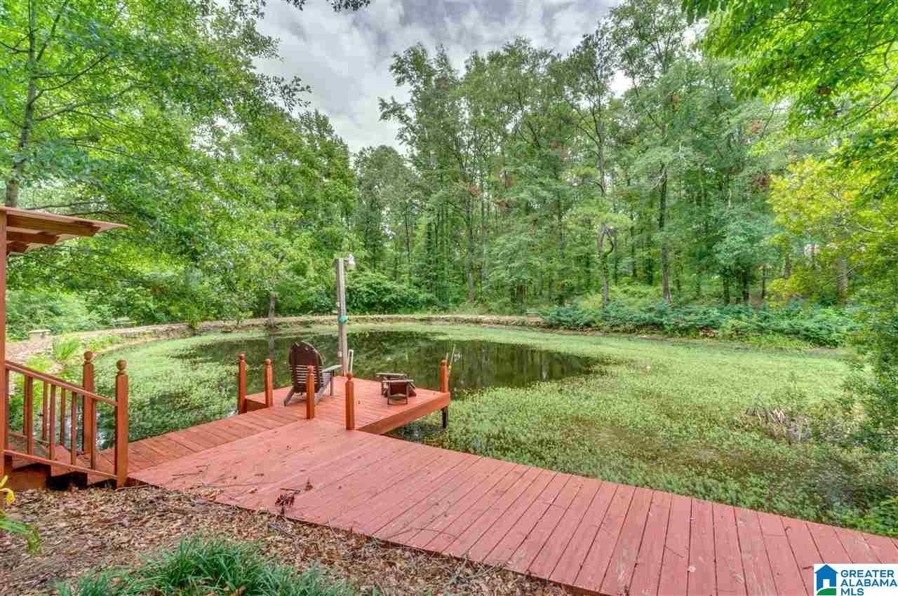 2995 County Road 77 Clanton, AL 35045 - Photo 43 of 50