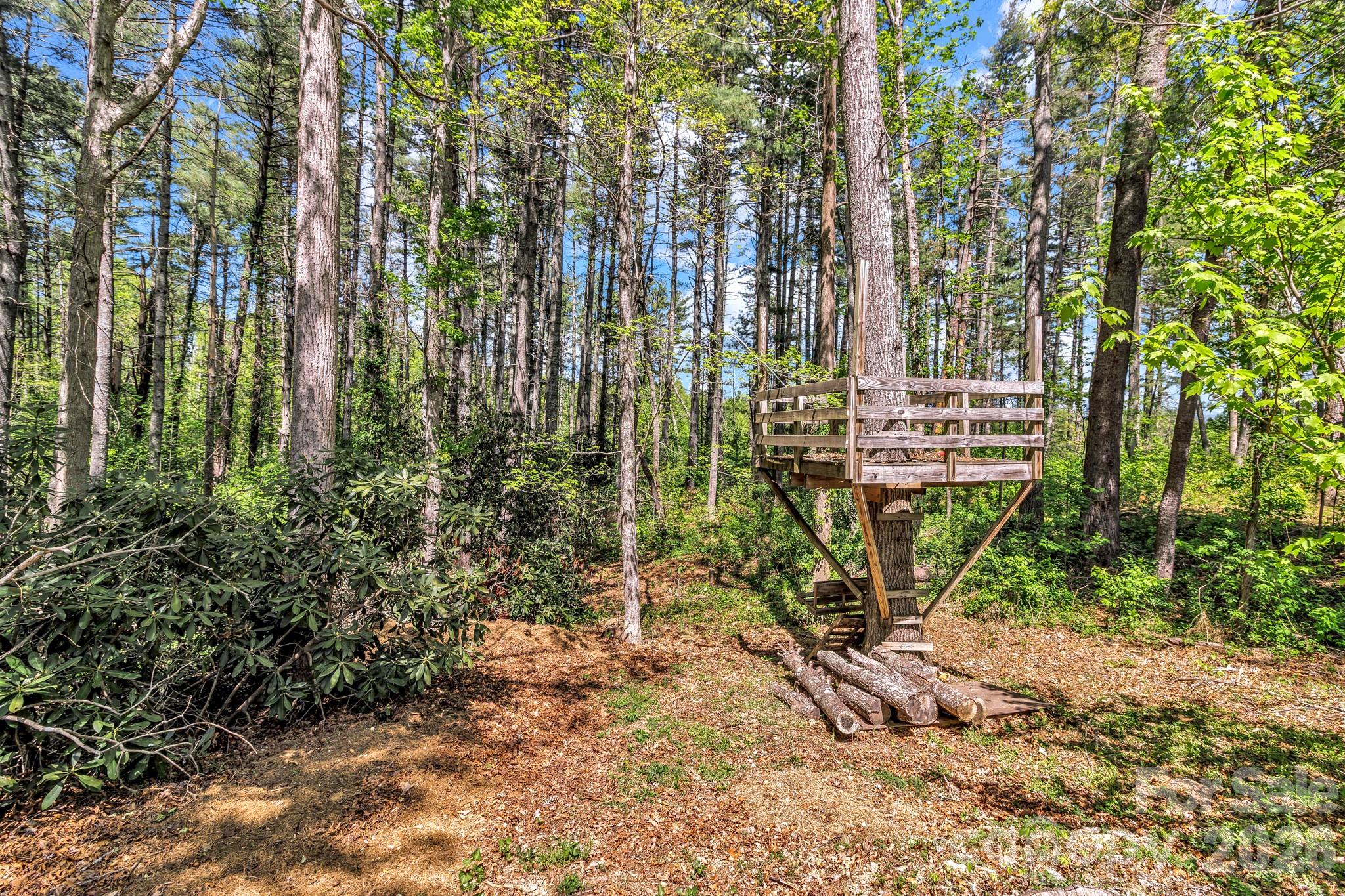 152 Joe Jenkins Road Fairview, NC 28730 - Photo 38 of 44 a view of outdoor space with garden