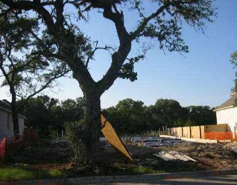 7325 Seneca Falls Loop Austin, TX 78739 - Photo 1 of 1 Gallery Image 1