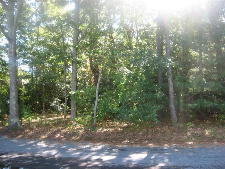 55 Hi Ona Hill Road Centerville, MA 02632 - Photo 3 of 11 a view of a forest with trees