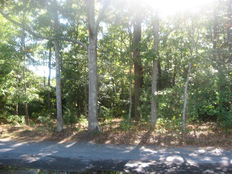 55 Hi Ona Hill Road Centerville, MA 02632 - Photo 5 of 11 a view of a forest with lots of trees