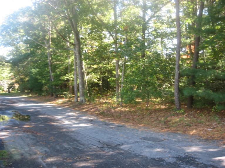 55 Hi Ona Hill Road Centerville, MA 02632 - Photo 6 of 11 a view of a forest with trees