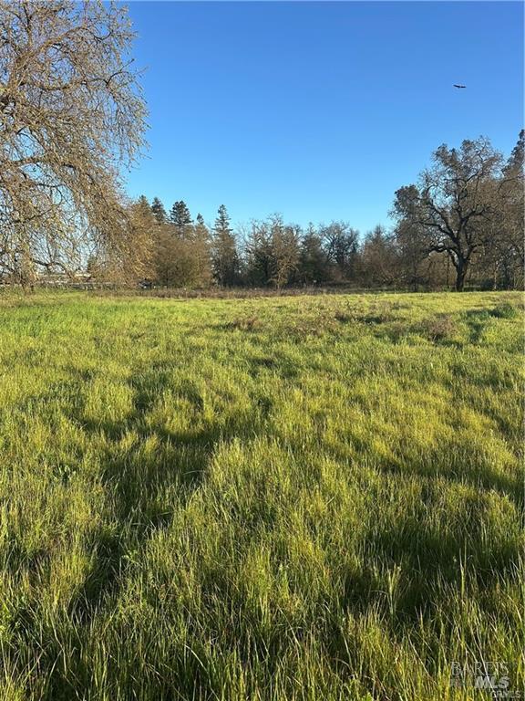 705 Shiloh Road, Unit 91 Windsor, CA 95492 - Photo 9 of 11