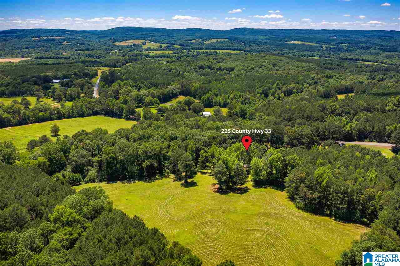 225 County Road 33 Oneonta, AL 35121 - Photo 40 of 41