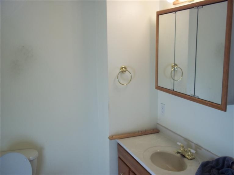 318 West Delaware Street Decatur, MI 49045 - Photo 7 of 14 Additional Photo