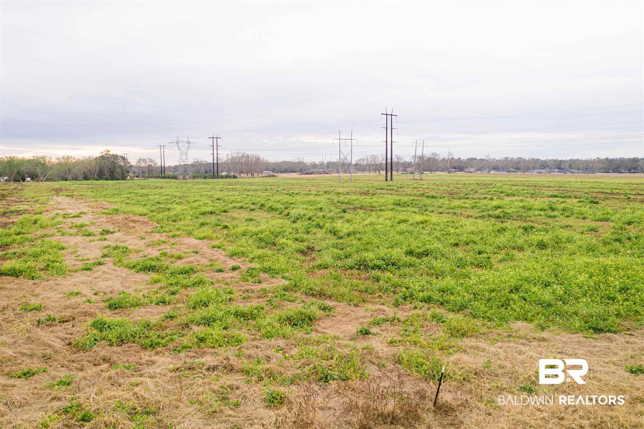 15330 North Boulevard Silverhill, AL 36576 - Photo 4 of 4