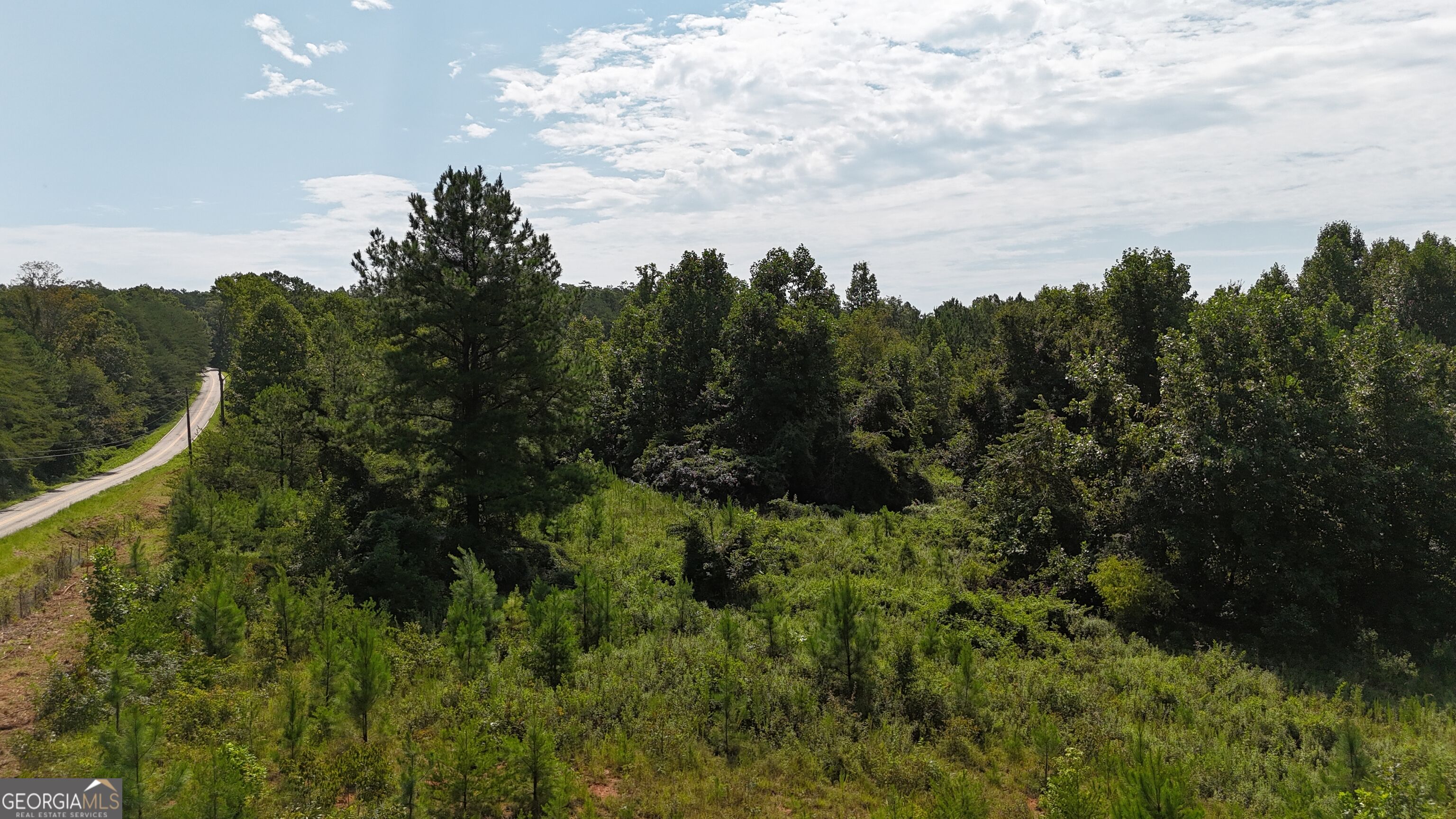 10.8-ac Cody Road Mount Airy, GA 30563 - Photo 17 of 21 Gallery Image 17