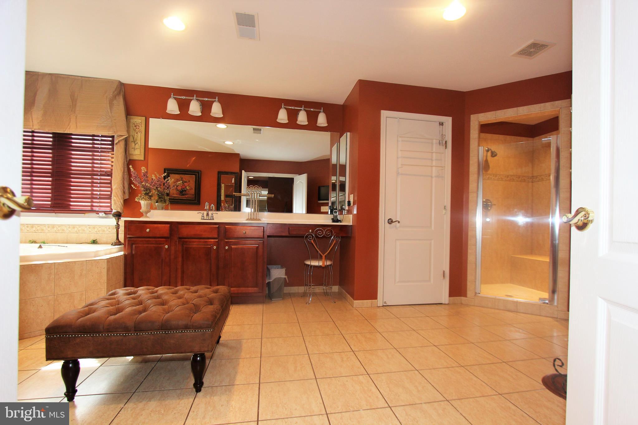 41885 Feldspar Place Stone Ridge, VA 20105 - Photo 47 of 97 Large Master Bathroom