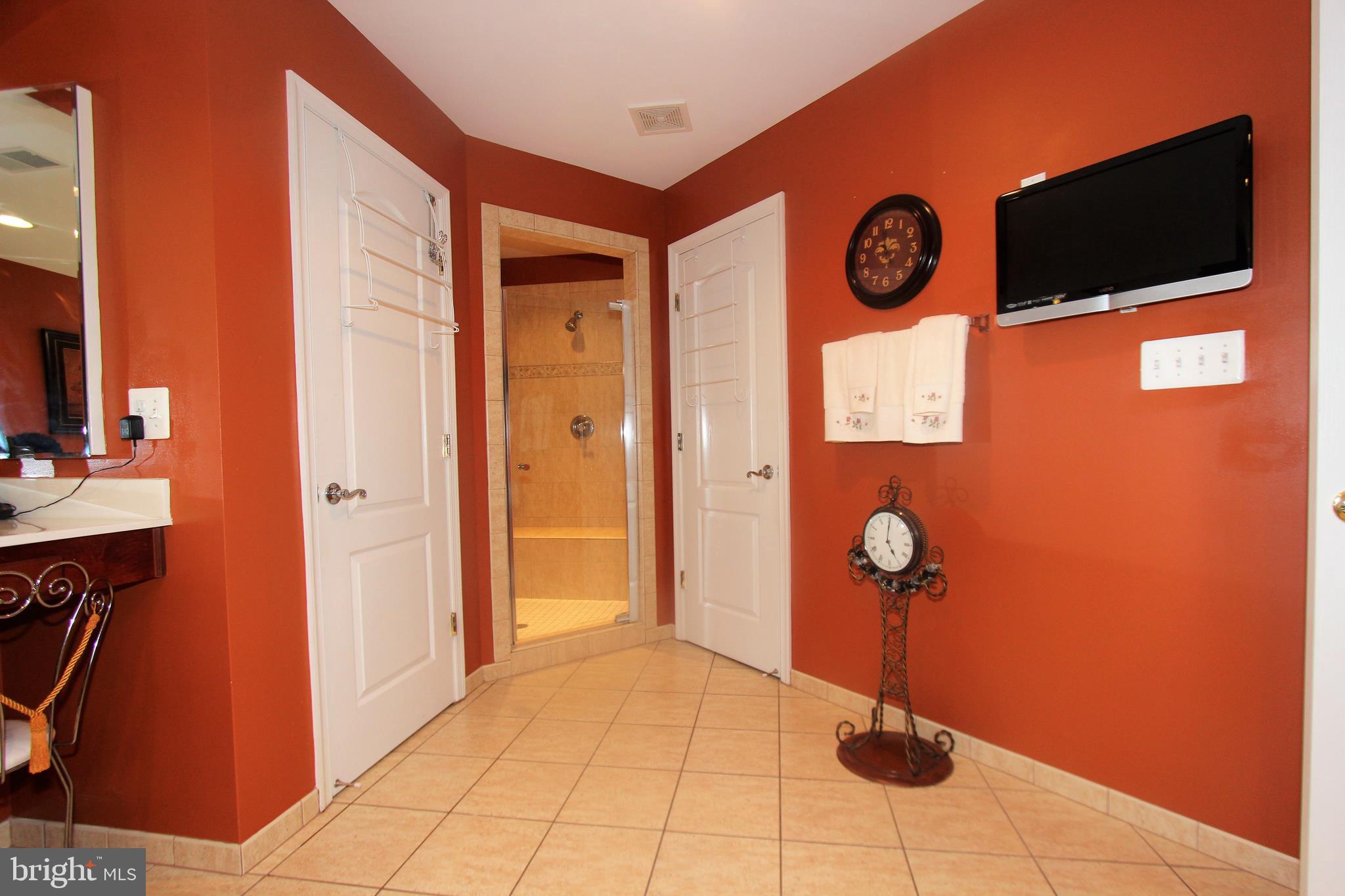 41885 Feldspar Place Stone Ridge, VA 20105 - Photo 48 of 97 Large Master Bathroom
