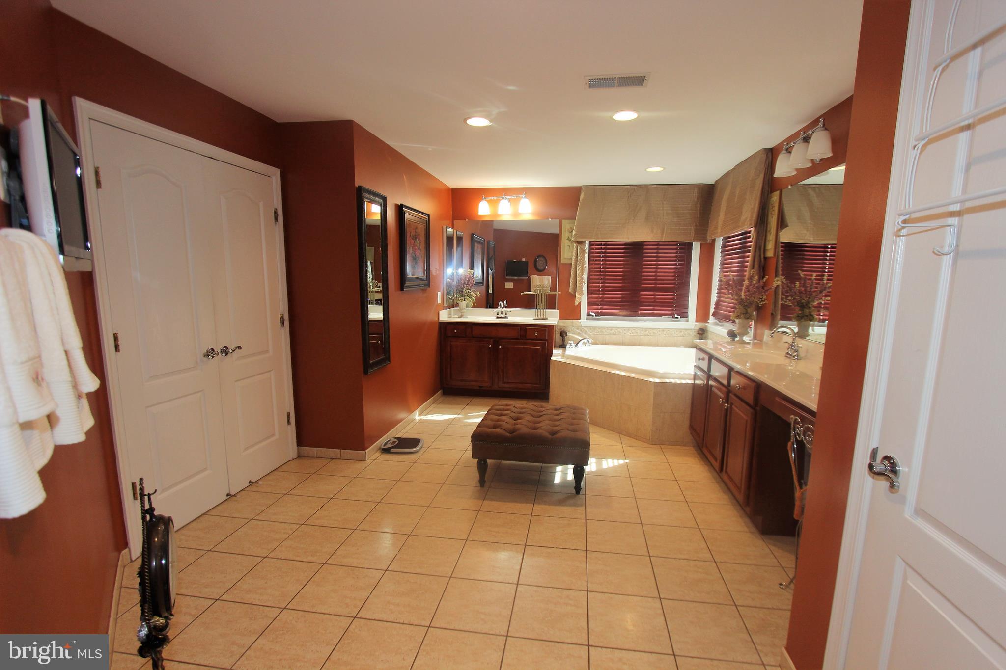41885 Feldspar Place Stone Ridge, VA 20105 - Photo 49 of 97 Large Master Bathroom