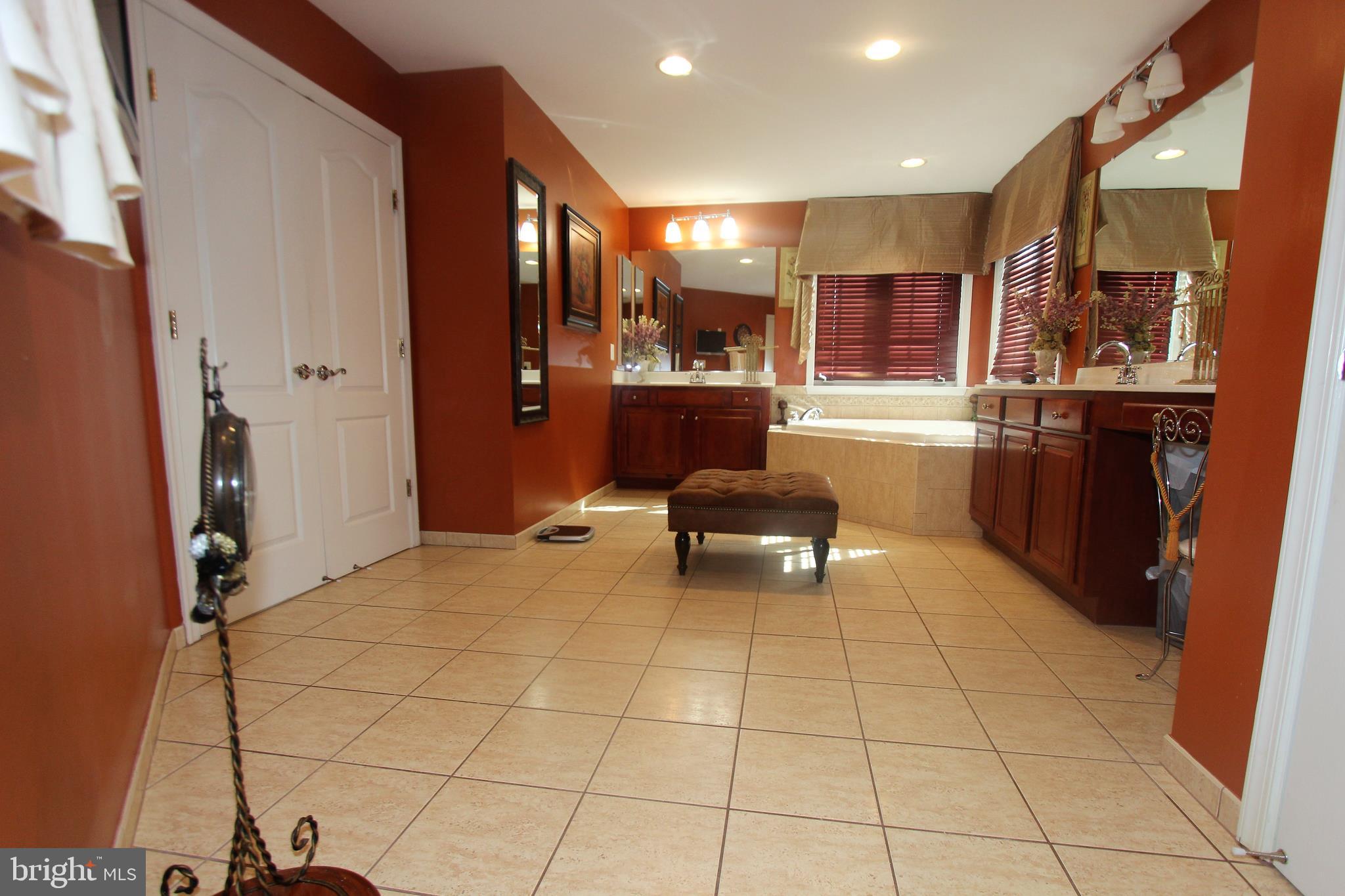 41885 Feldspar Place Stone Ridge, VA 20105 - Photo 50 of 97 Large Master Bathroom