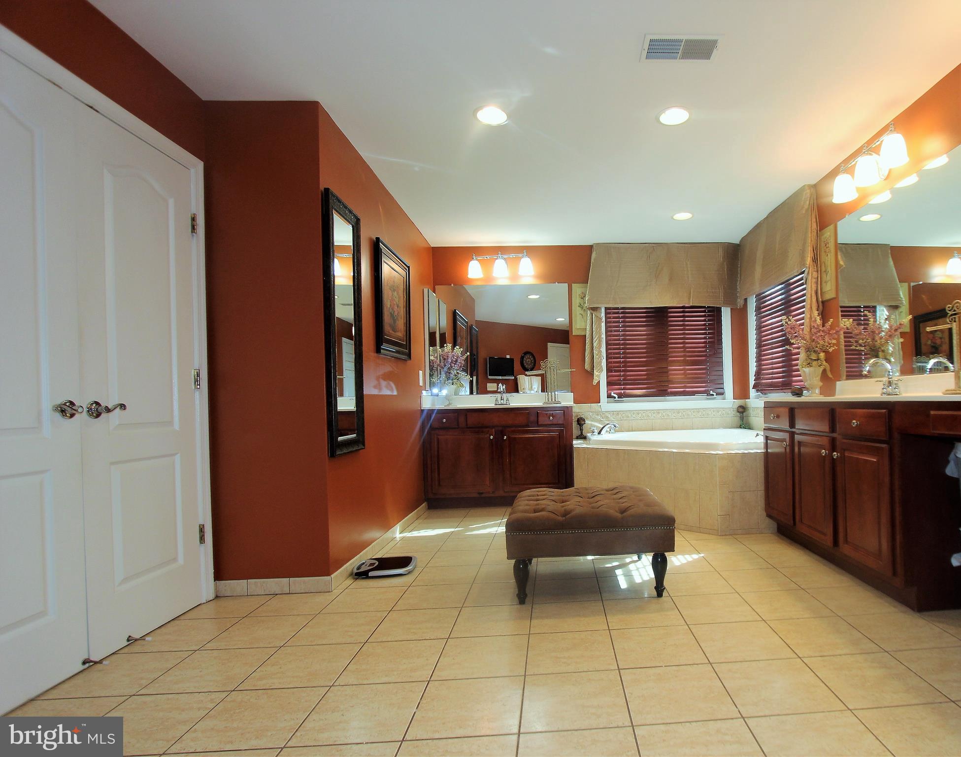 41885 Feldspar Place Stone Ridge, VA 20105 - Photo 51 of 97 Large Master Bathroom