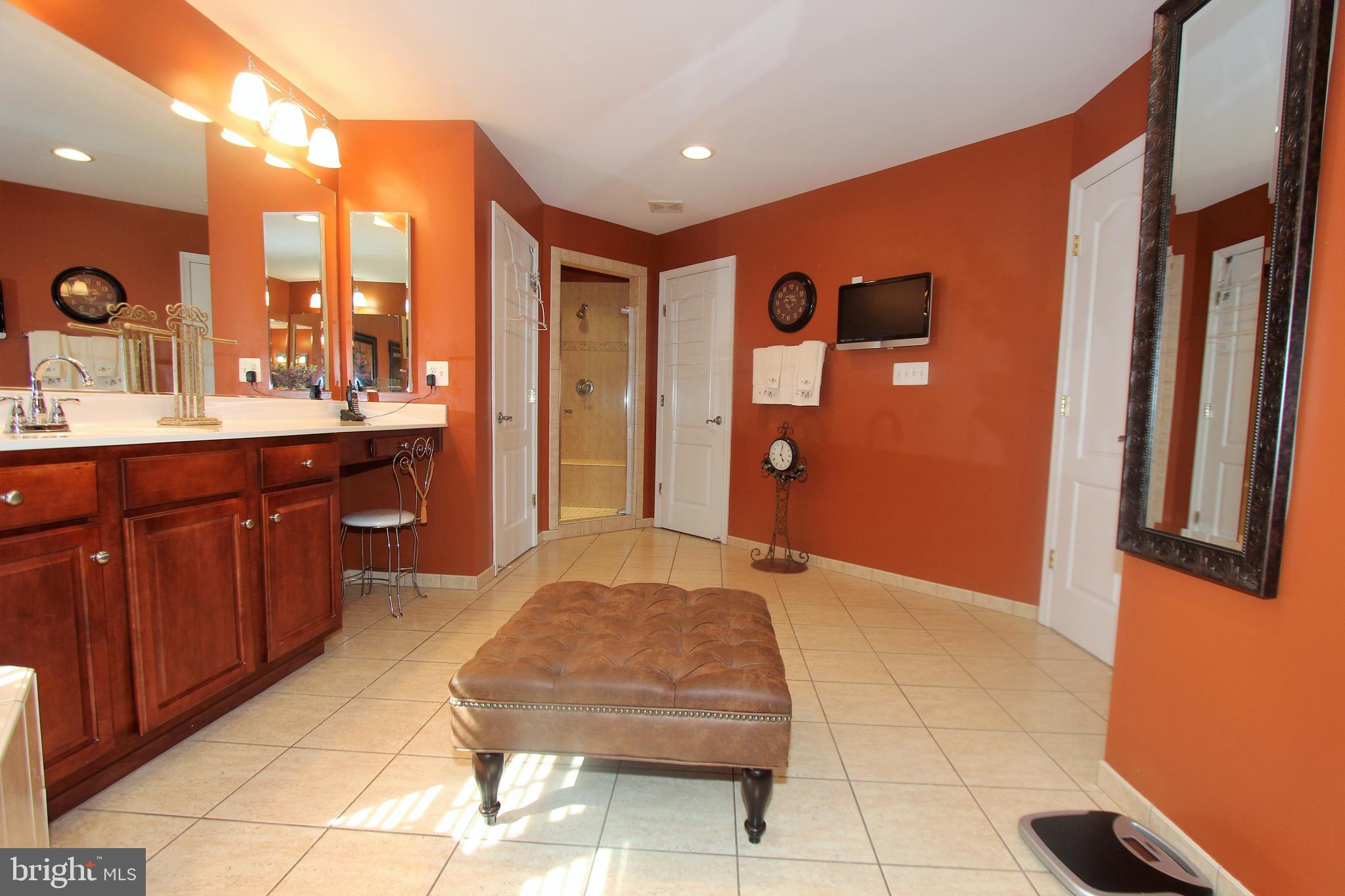 41885 Feldspar Place Stone Ridge, VA 20105 - Photo 52 of 97 Large Master Bathroom