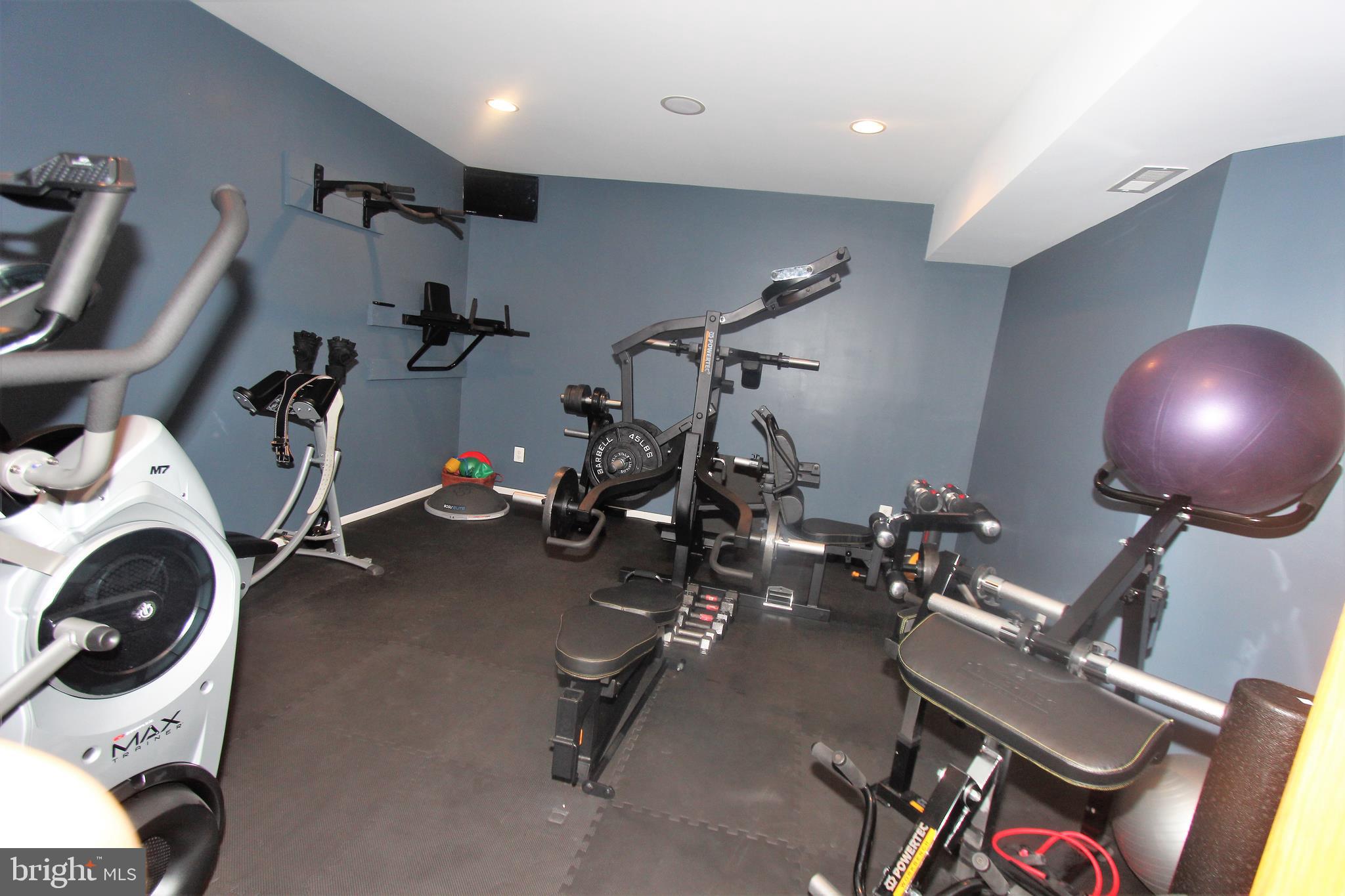 41885 Feldspar Place Stone Ridge, VA 20105 - Photo 74 of 97 Lower Level Gym