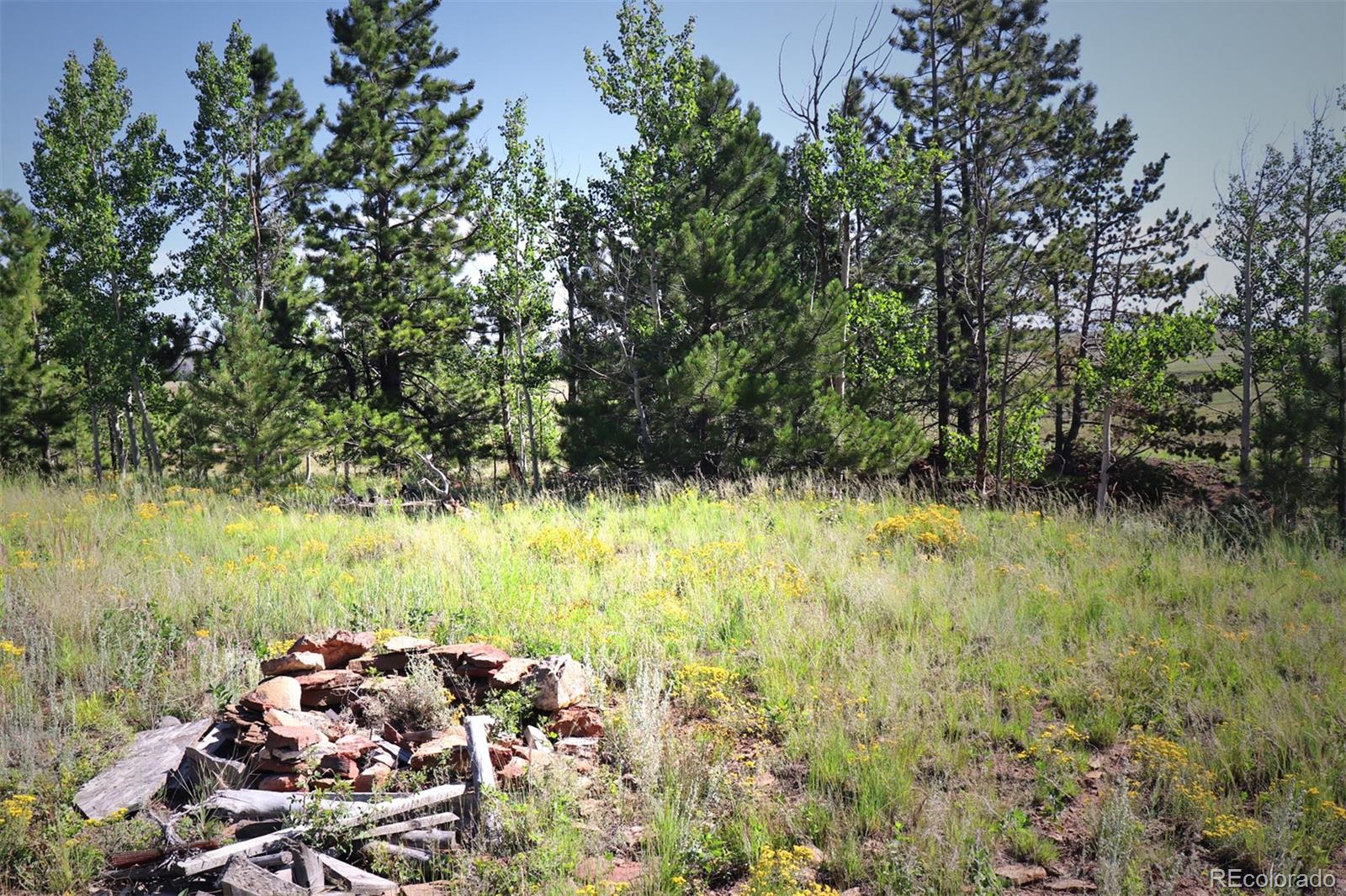 49 Pitchfork Road Hartsel, CO 80449 - Photo 16 of 28 a yard with wooden fence and trees