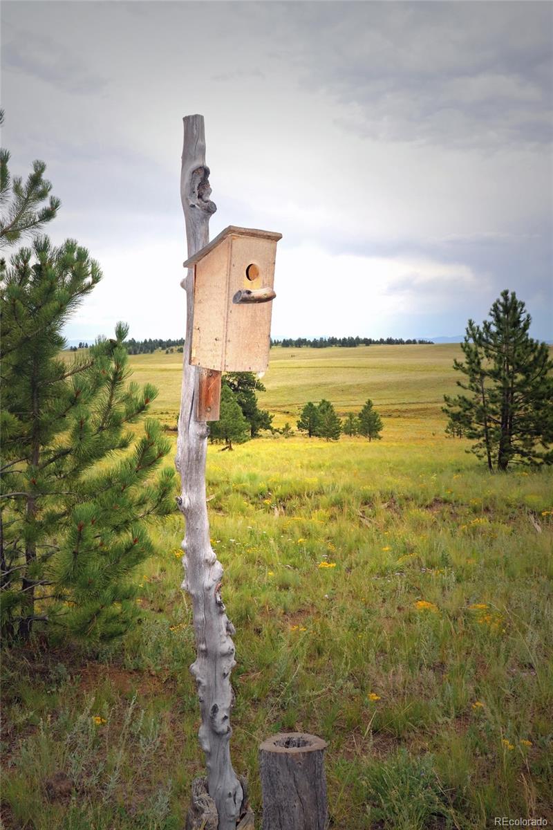 49 Pitchfork Road Hartsel, CO 80449 - Photo 17 of 28 a view of a yard with an ocean view