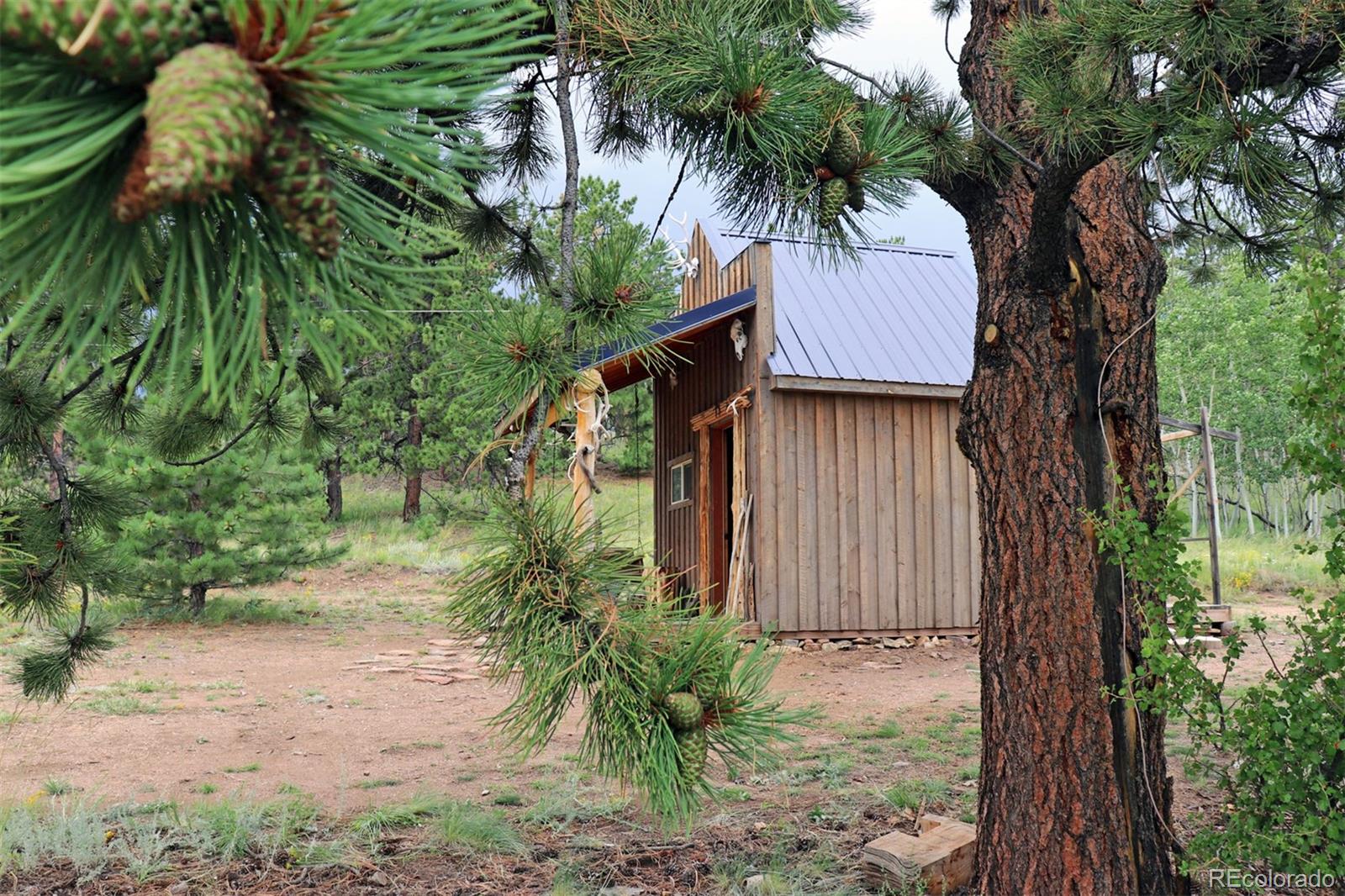 49 Pitchfork Road Hartsel, CO 80449 - Photo 18 of 28 a view of outdoor space and yard