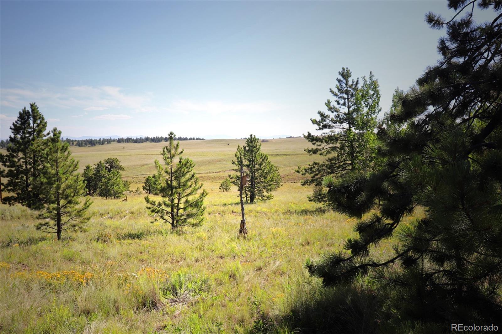 49 Pitchfork Road Hartsel, CO 80449 - Photo 23 of 28 a view of lake view