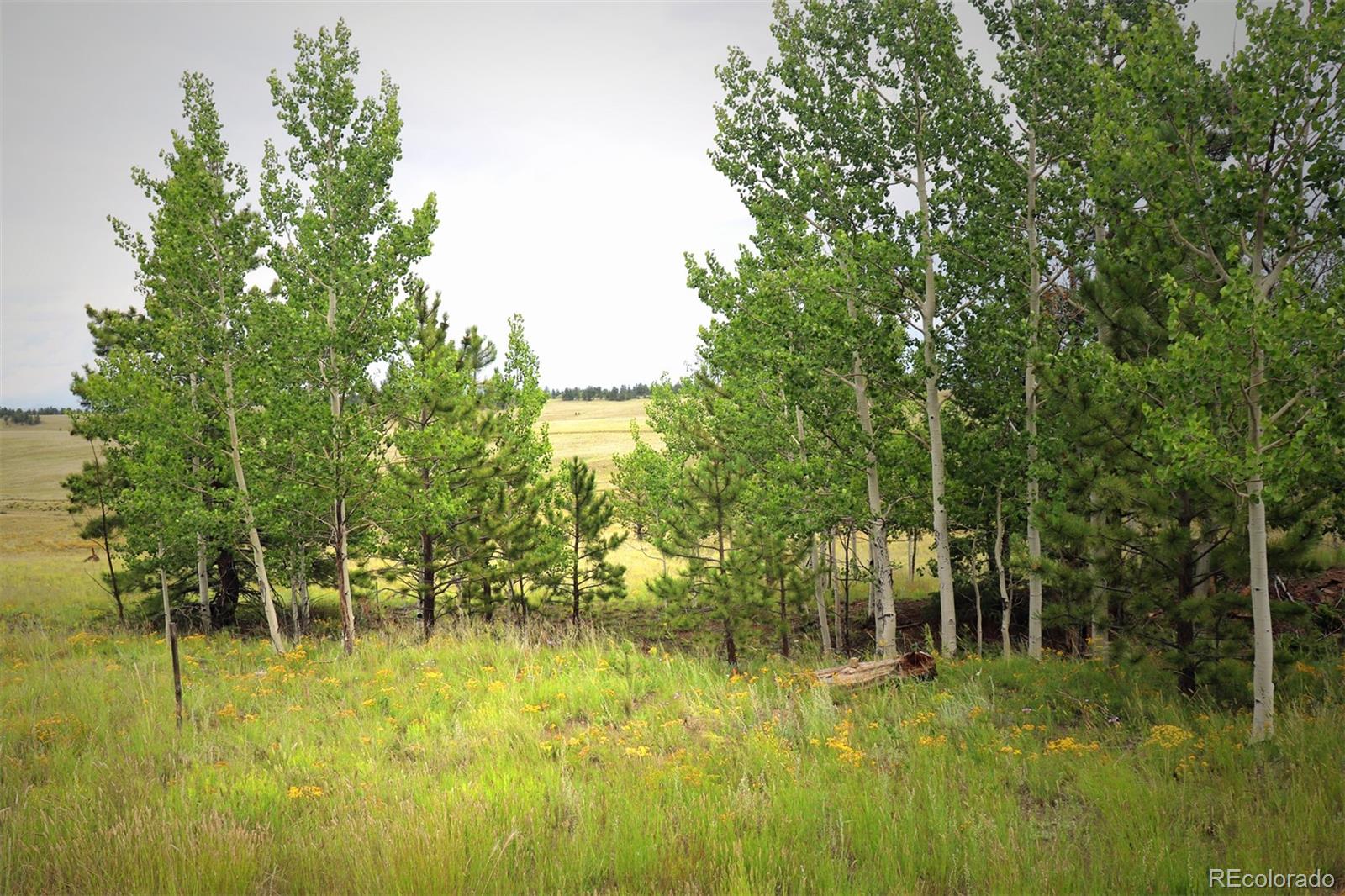 49 Pitchfork Road Hartsel, CO 80449 - Photo 26 of 28 a view of a lake view