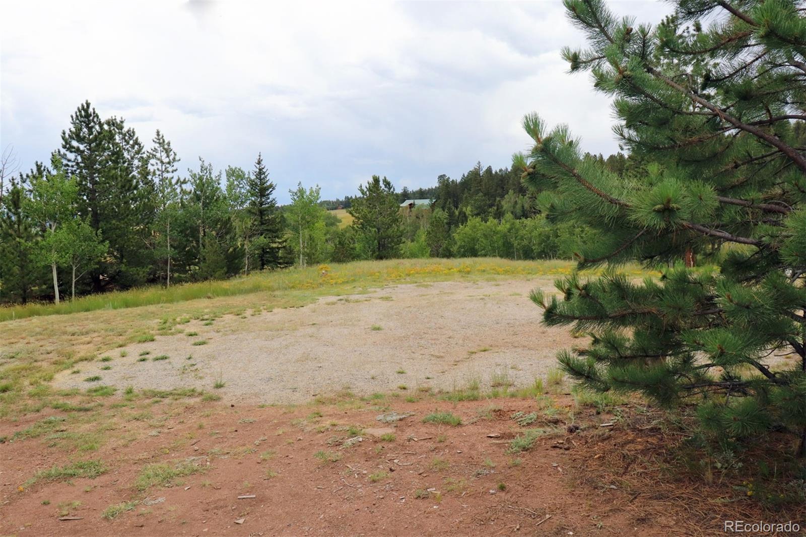 49 Pitchfork Road Hartsel, CO 80449 - Photo 8 of 28 a view of outdoor space with trees all around