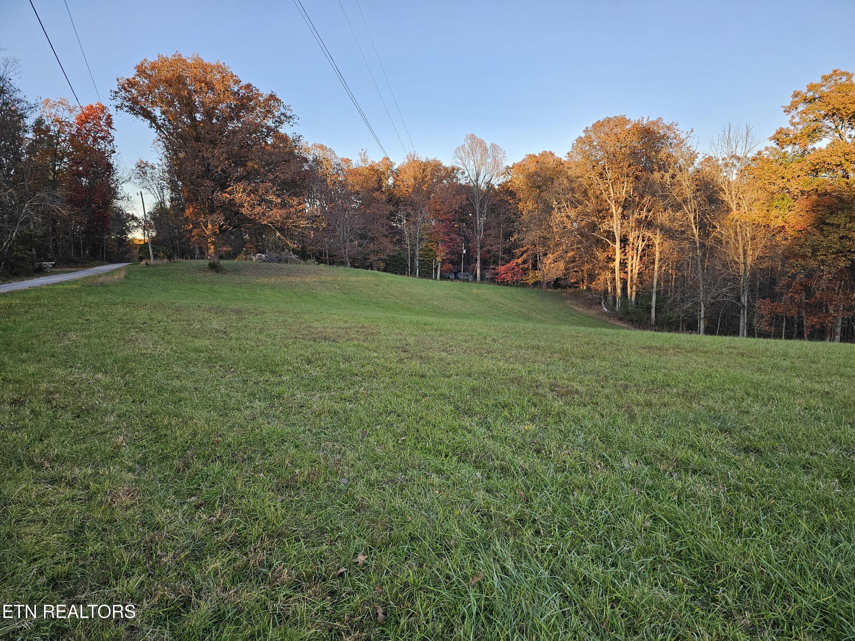 160 Tinch Road Sunbright, TN 37872 - Photo 7 of 13 20251106_170908