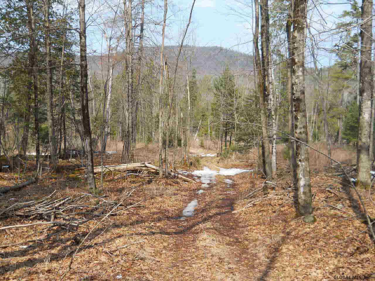 0 Igerna Road Chestertown, NY 12817 - Photo 1 of 1 Photo 1