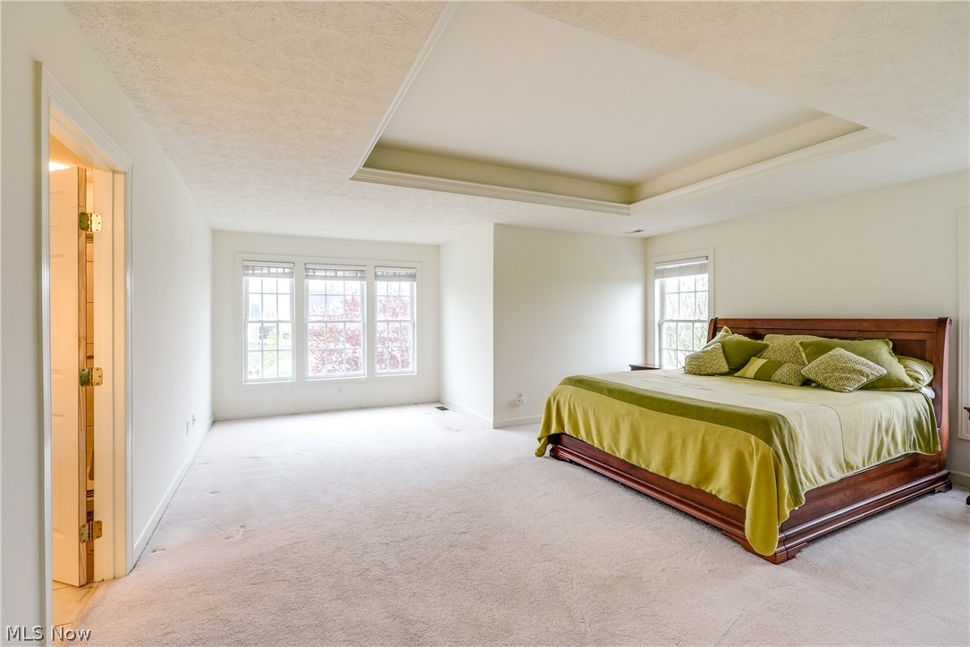 4561 Ridgestone Way Medina, OH 44256 - Photo 23 of 50 Spacious Owner's Bedroom with multiple windows with blinds, sitting area, and a tray ceiling.