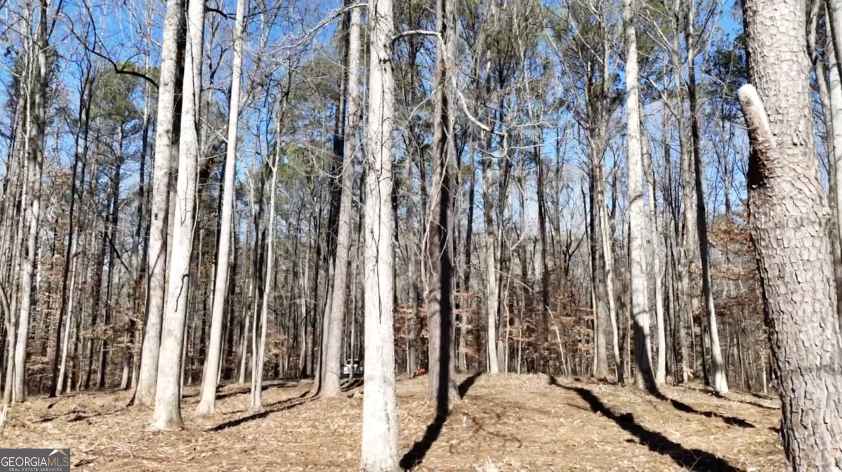6137 Little Ridge Road, Unit LOT #3 Acworth, GA 30102 - Photo 18 of 39 a view of a outdoor space with street view
