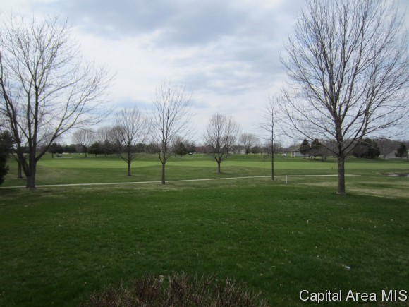4701 Wildcat Run Springfield, IL 62711 - Photo 20 of 23