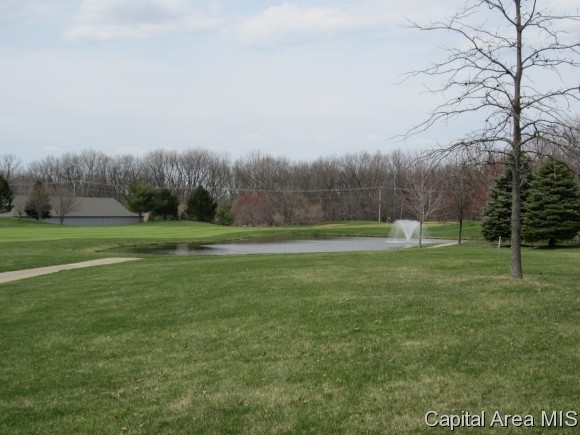 4701 Wildcat Run Springfield, IL 62711 - Photo 21 of 23