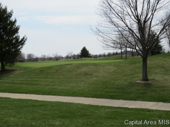 4701 Wildcat Run Springfield, IL 62711 - Photo 22 of 23