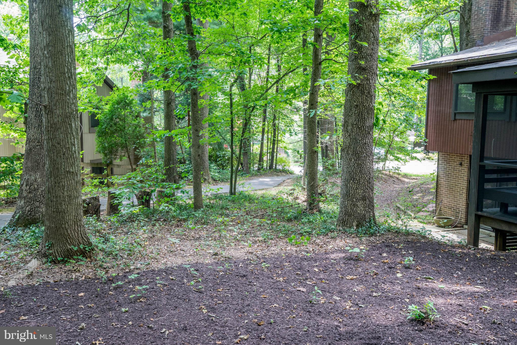 10986 Swansfield Road Columbia, MD 21044 - Photo 29 of 30 WOODED YARD