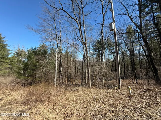 $67,000 | L17.24 Tsatsawassa Lake Road, East Nassau, NY 12062