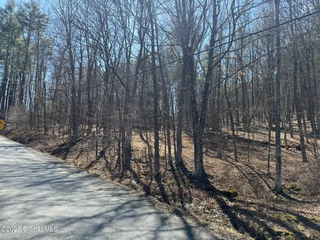 $67,000 | L17.24 Tsatsawassa Lake Road, East Nassau, NY 12062